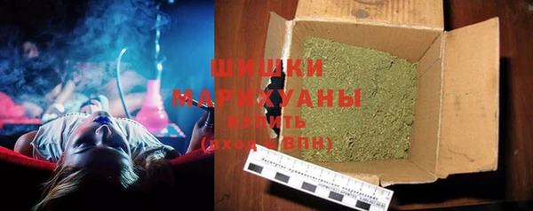 сатива Балахна