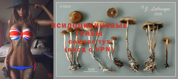 сатива Балахна
