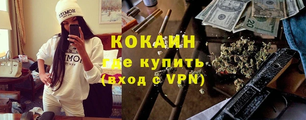 сатива Балахна