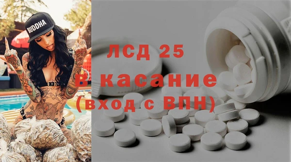 сатива Балахна